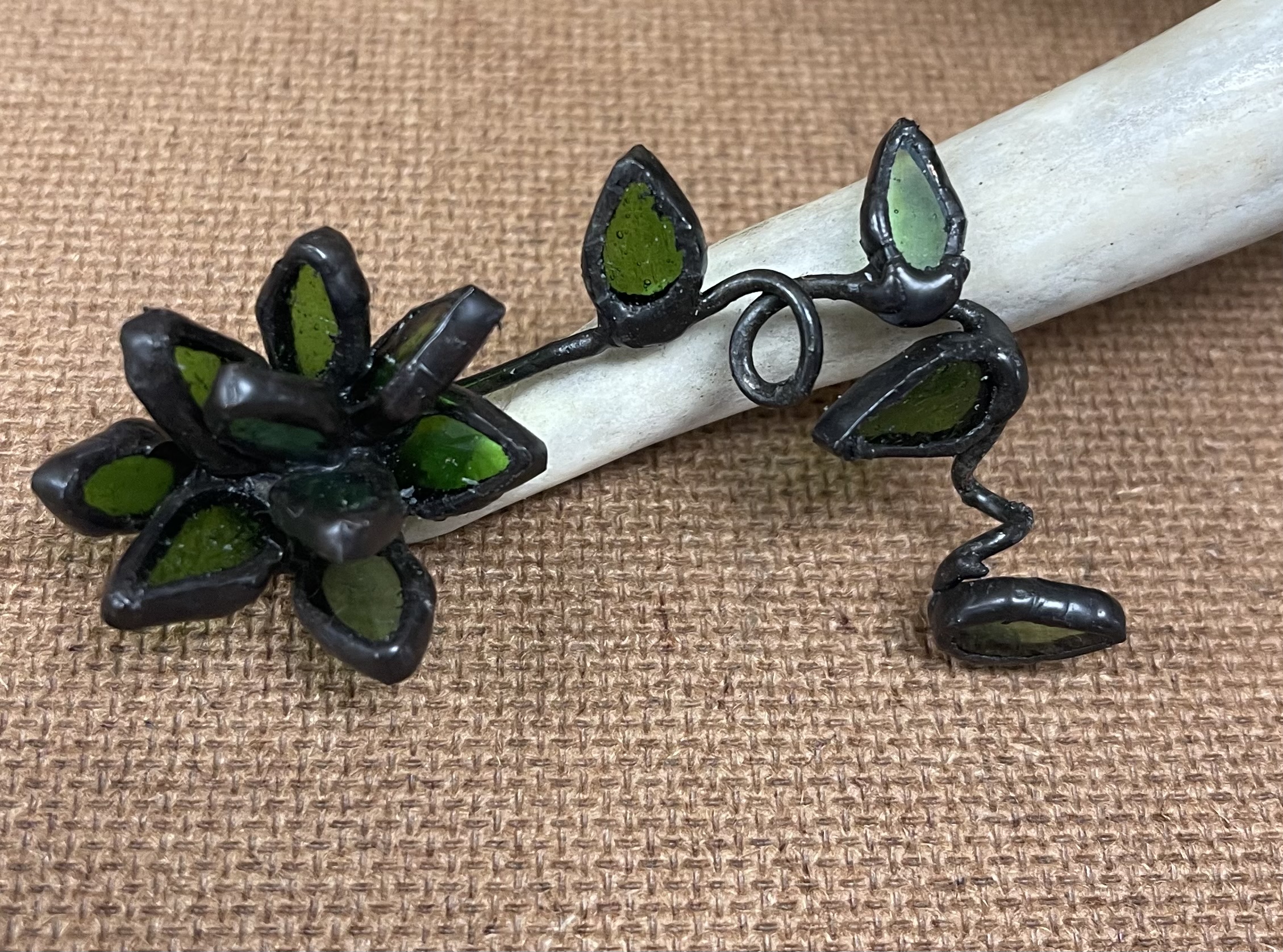 Small succulent with winding vine.
