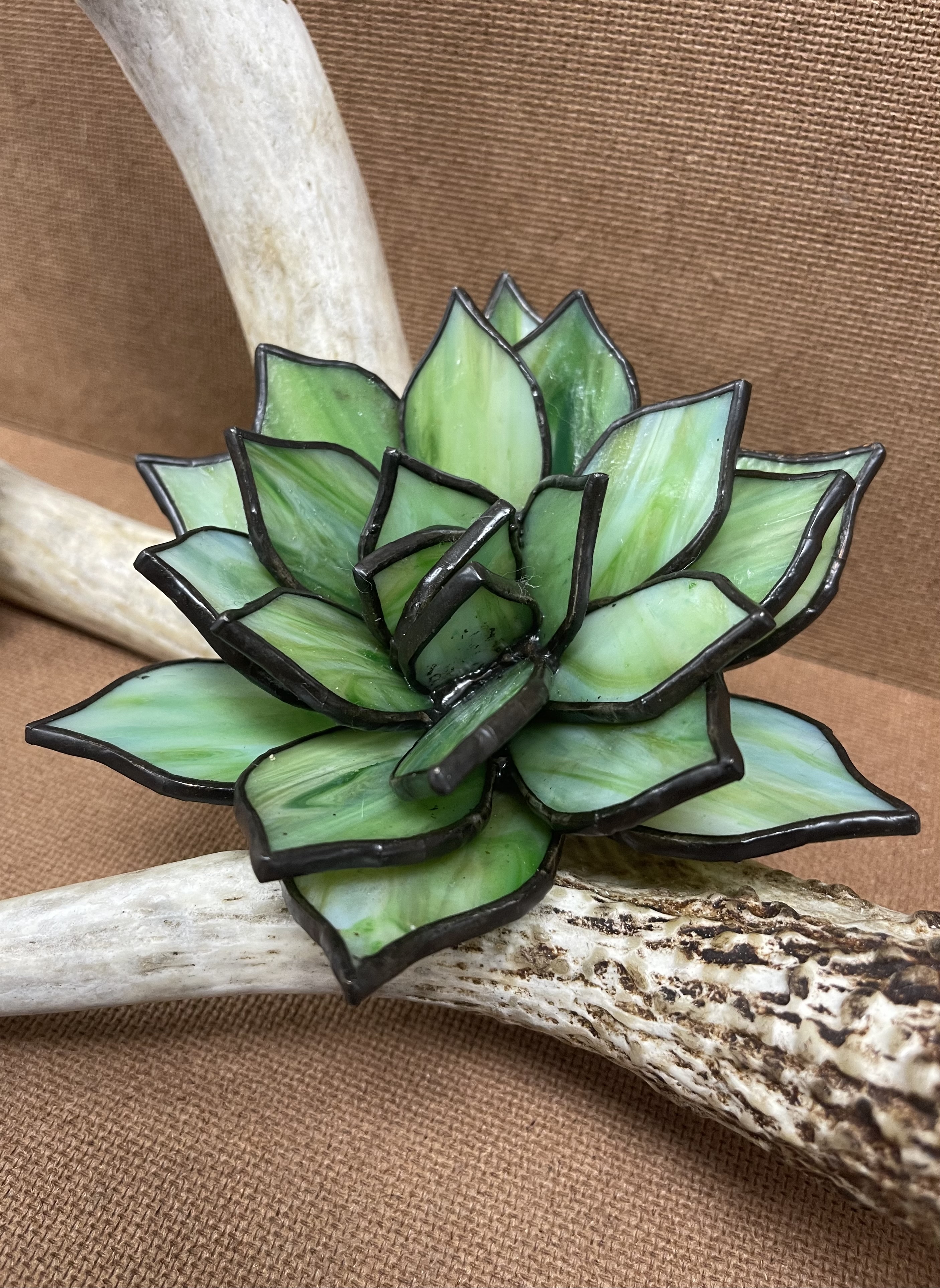 3D Succulent, built leaf by leaf to fit into the curve of the antler.